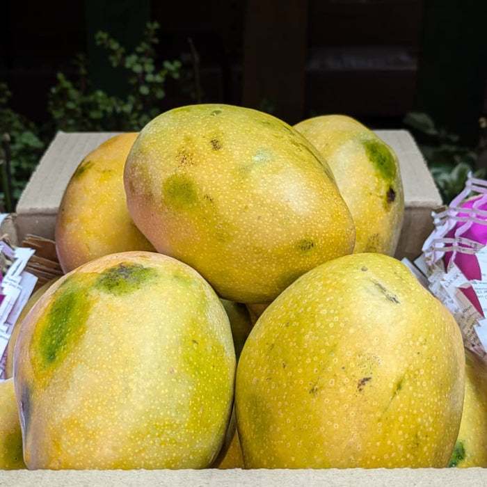 Premium Himayath/Imam Pasand